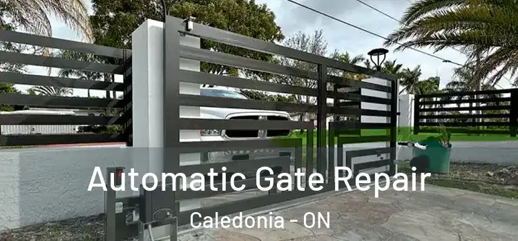 Automatic Gate Repair Caledonia - ON