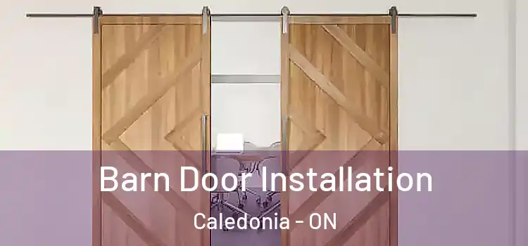 Barn Door Installation Caledonia - ON