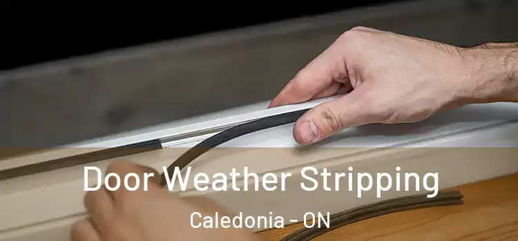 Door Weather Stripping Caledonia - ON