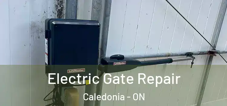 Electric Gate Repair Caledonia - ON