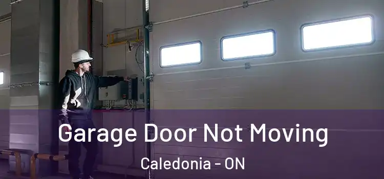  Garage Door Not Moving Caledonia - ON