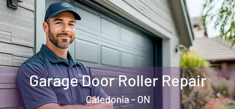 Garage Door Roller Repair Caledonia - ON
