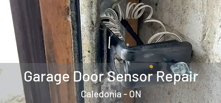 Garage Door Sensor Repair Caledonia - ON
