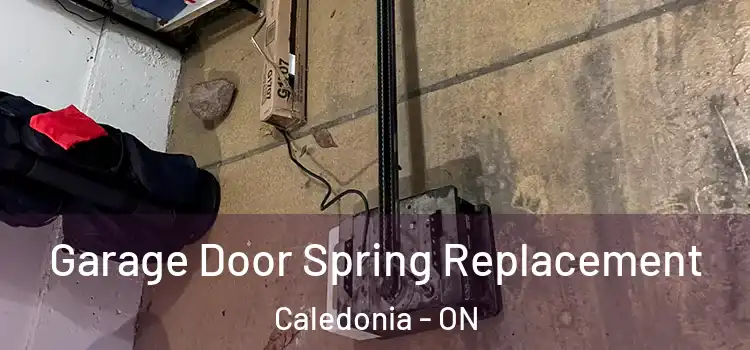  Garage Door Spring Replacement Caledonia - ON