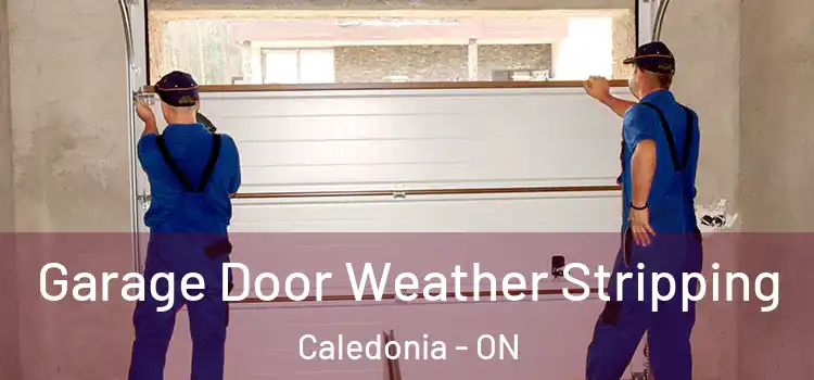  Garage Door Weather Stripping Caledonia - ON