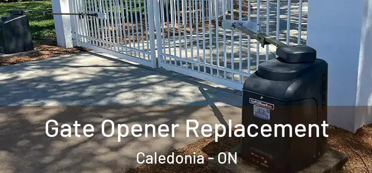 Gate Opener Replacement Caledonia - ON