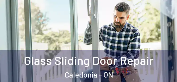 Glass Sliding Door Repair Caledonia - ON