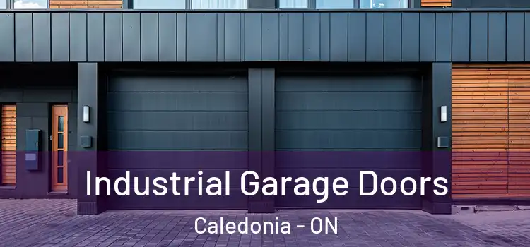  Industrial Garage Doors Caledonia - ON