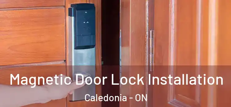  Magnetic Door Lock Installation Caledonia - ON