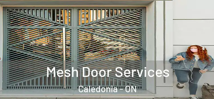 Mesh Door Services Caledonia - ON