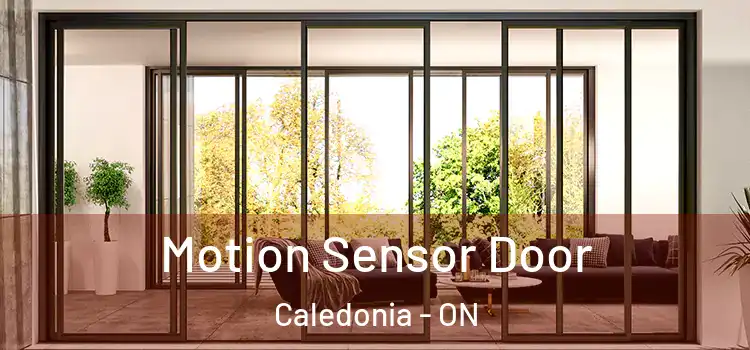 Motion Sensor Door Caledonia - ON