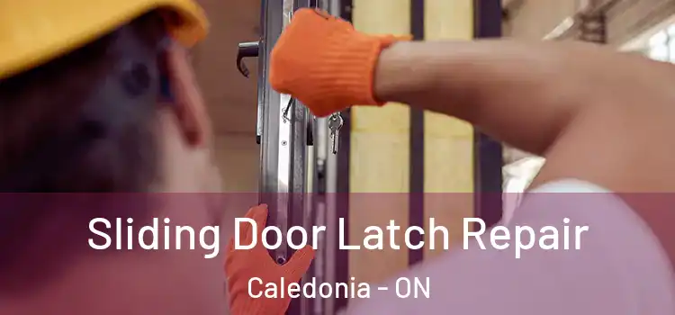 Sliding Door Latch Repair Caledonia - ON