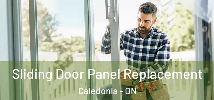  Sliding Door Panel Replacement Caledonia - ON