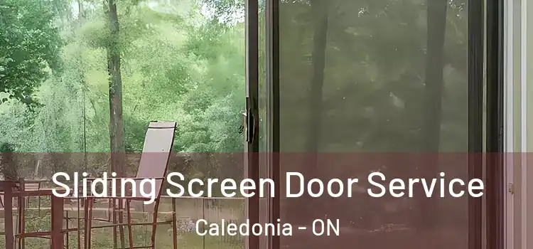 Sliding Screen Door Service Caledonia - ON